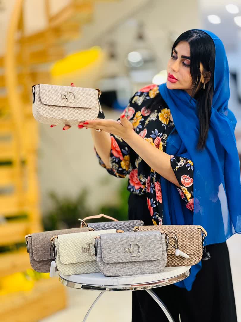 کیف دیور 2741